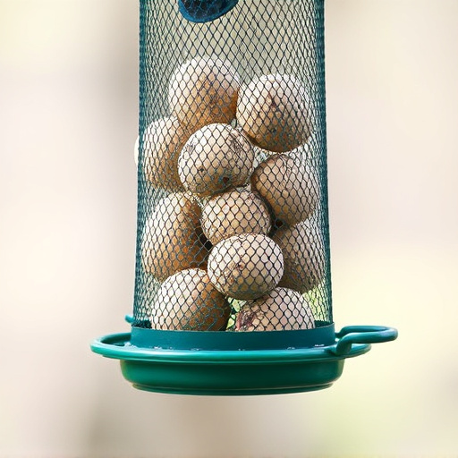 Green mesh feeder filled with suet balls