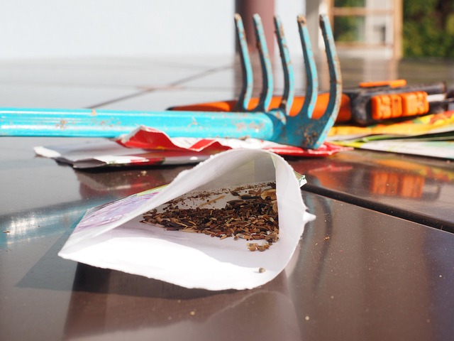 Heap of assorted bird seed mix