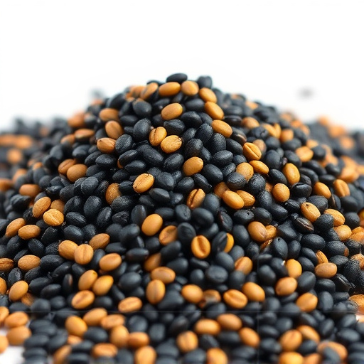 Heap of black oil sunflower seeds