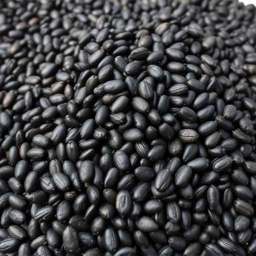 Heap of black oil sunflower seeds