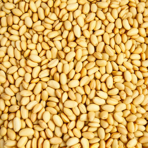 Large bulk sack of sunflower hearts