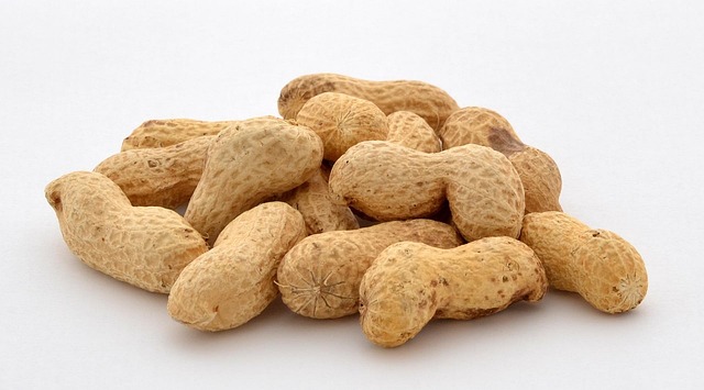 mesh-feeder-filled-with-whole-peanuts-640x480-57403829.jpeg