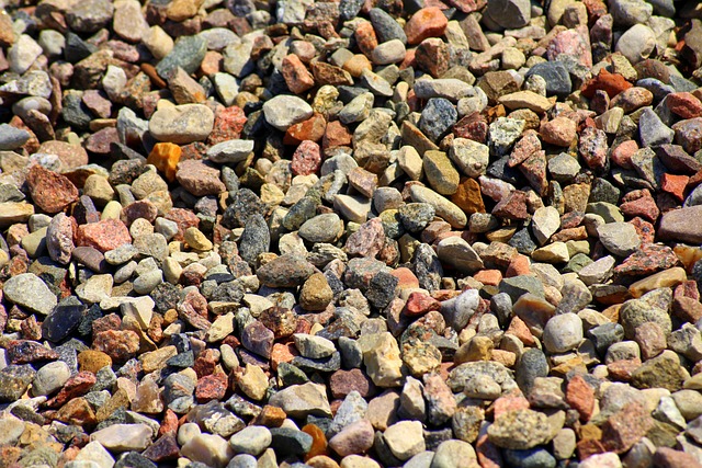 Mixed seed scattered on feeding tray