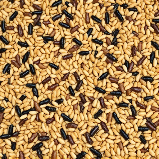 mixed-seed-scattered-on-feeding-tray-640x480-32383162.jpeg