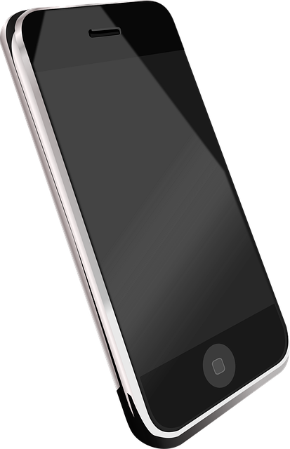 Mobile phone browsing bird seed deals