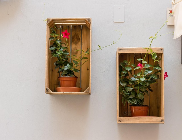 Best Bird Boxes UK: Enhancing Habitat, Safety, Eco-Design
