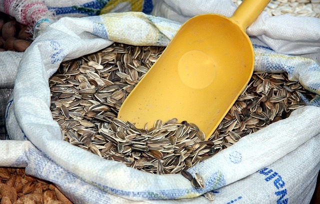Unsurpassed Quality Sunflower Hearts at Best Price UK