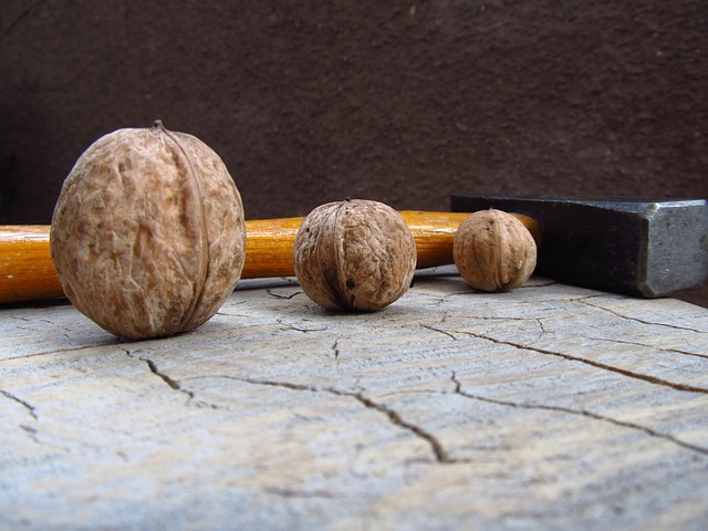 nut-and-seed-mix-for-wild-birds-640x480-79346663.jpeg