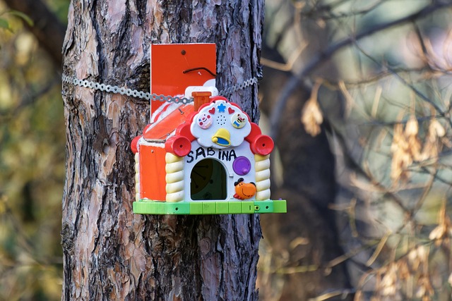 Best Bird Boxes: Enhancing Habitat for Diverse Species Success