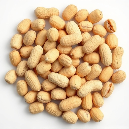 Save Big on Peanuts for Birds in Liverpool: Bulk Sunflower Hearts with Free Shipping!
