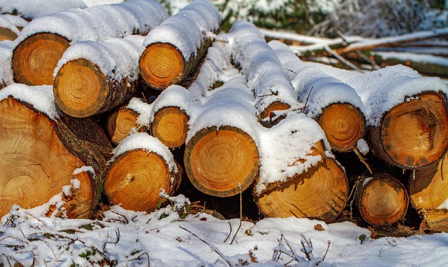 piles-of-suet-pellets-for-winter-640x480-70974276.jpeg