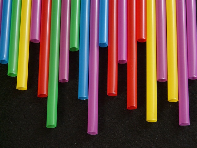 Plastic mealworm tube with bird visitors