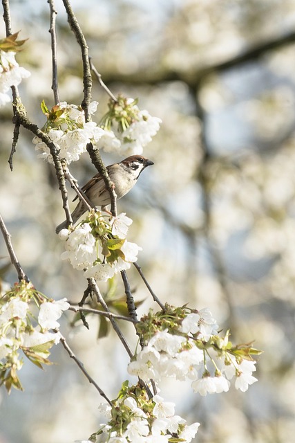 Soft food offered to young bird