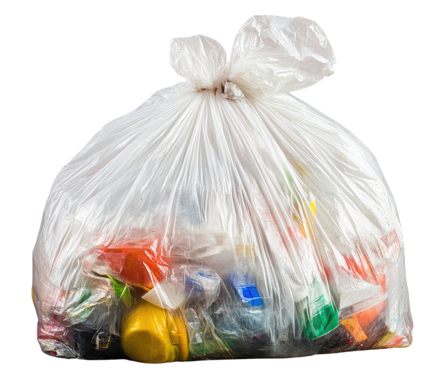 Sunflower hearts in clear plastic bag