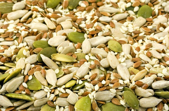 Sunflower seeds and grains mix
