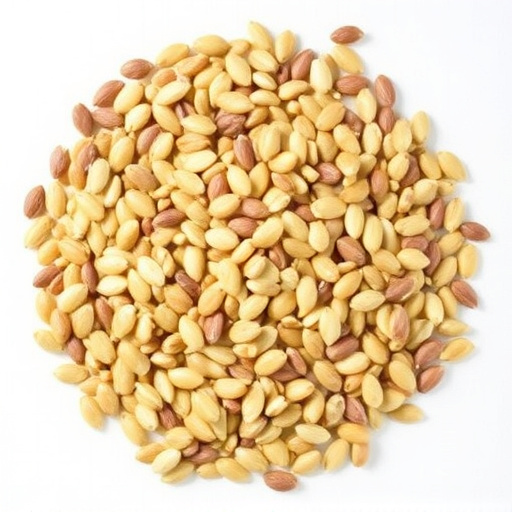 sunflower-seeds-and-grains-mix-640x480-74692282.jpeg