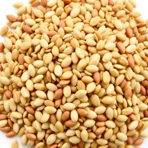 Sunflower seeds and grains mix