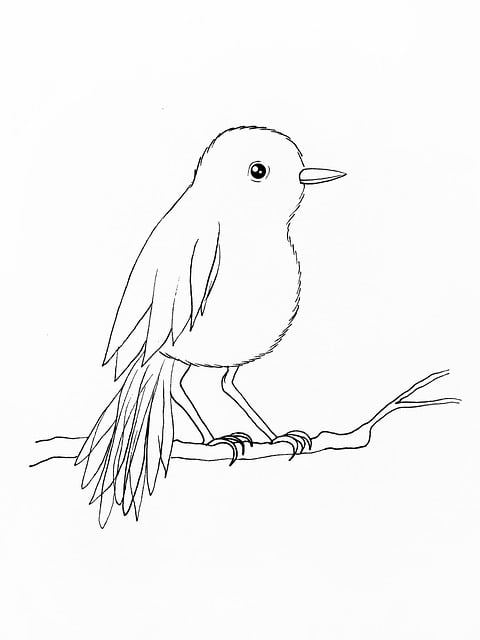 variety-of-bird-640x480-90858691.jpeg
