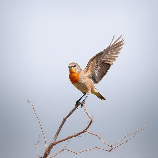 Save Money on Bulk Peanuts: Best Small Bird Feeders with Suet & Seeds in Liverpool – Free Shipping!