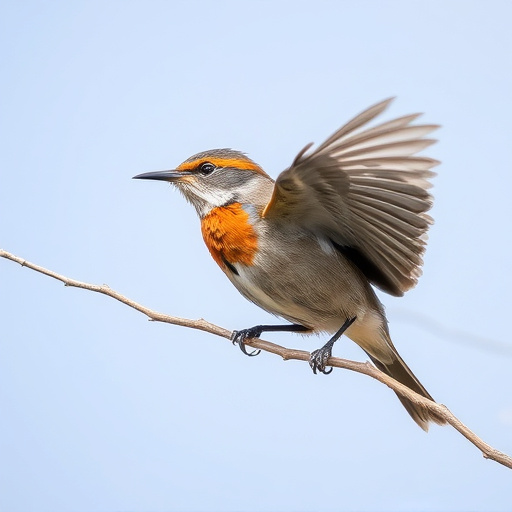 wild-bird-640x480-4781913.jpeg