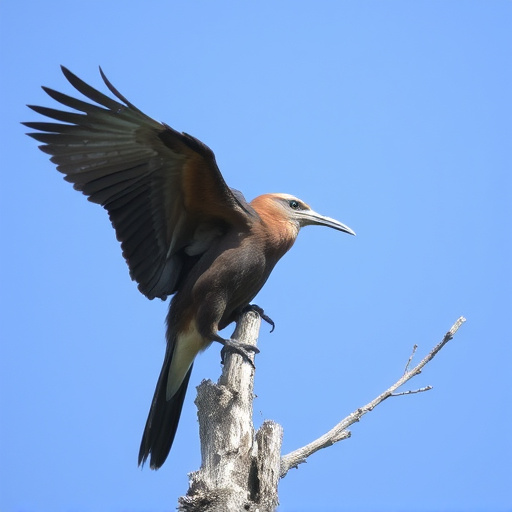 Wild Bird