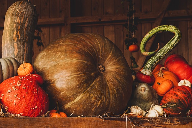 Wild birds eating pumpkin seeds