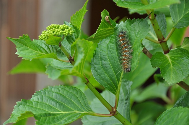 Squirrel-Proof Your Birding: Save Money with Dried Mealworms in Birmingham