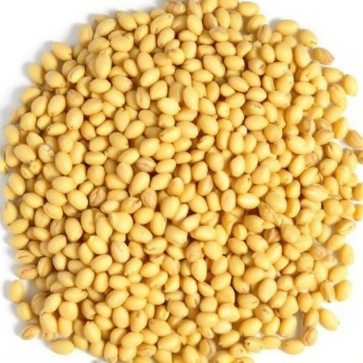 12.5kg sacks of sunflower hearts