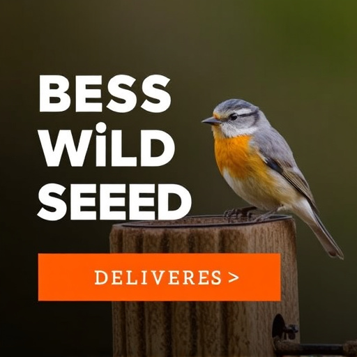 Quick &amp; Clean: Top-Tier Bird Seed Delivered Next-Day