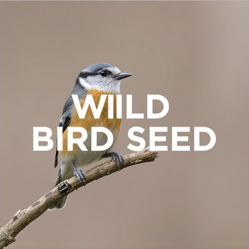 Best Wild Bird Seed Delivered UK