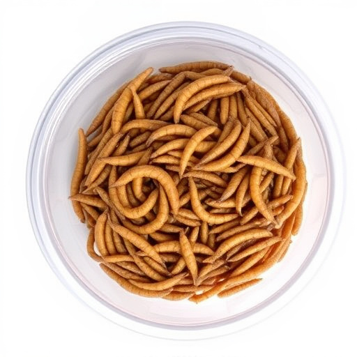 Bulk tub of mealworms for wild birds
