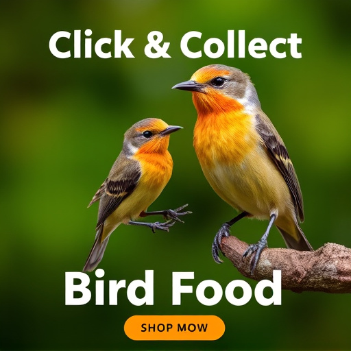Where to Buy Bird Seed Online: Top Retailers &amp; Reviews
