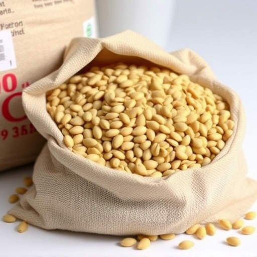 Large bulk sack of sunflower hearts