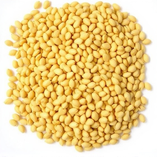 Large bulk sack of sunflower hearts