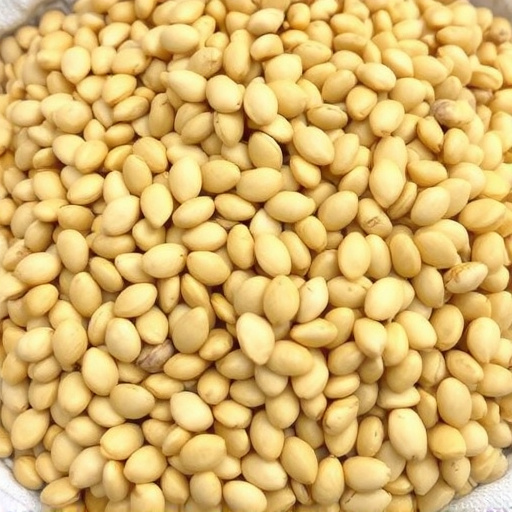 large-bulk-sack-of-sunflower-hearts-640x480-90864548.jpeg