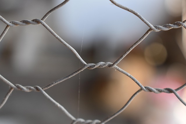 Metal cage preventing squirrels eating seeds