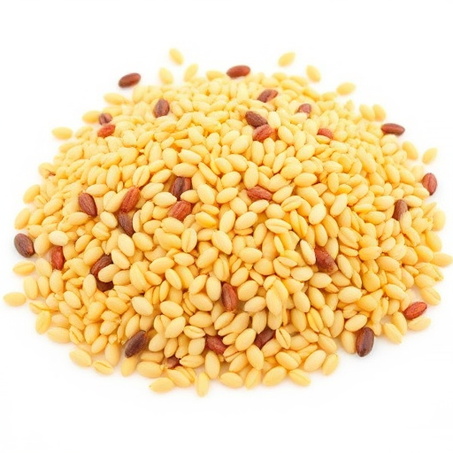 Discover UK's Best Wild Bird Seed Types &amp; Feeding Guide
