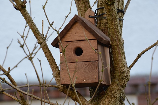 Rustic bird box with roof shingles