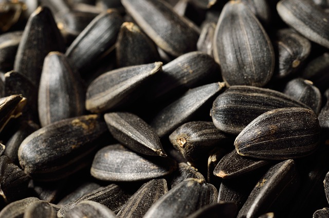 Sunflower hearts in eco packaging