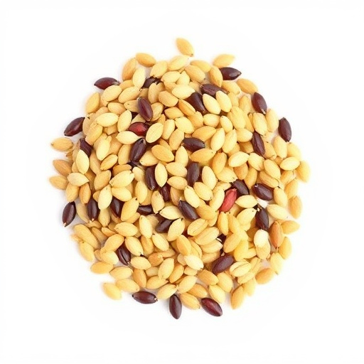 Sunflower seeds and grains mix