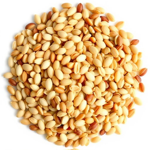 Affordable Bird Seeds for UK Gardens: Nature's Feast