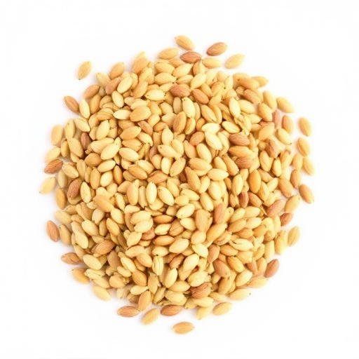 Sunflower seeds and grains mix
