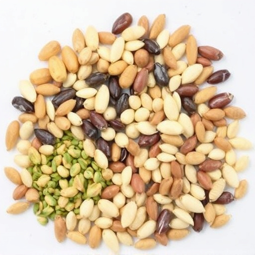 Variety of seeds suitable for UK birds