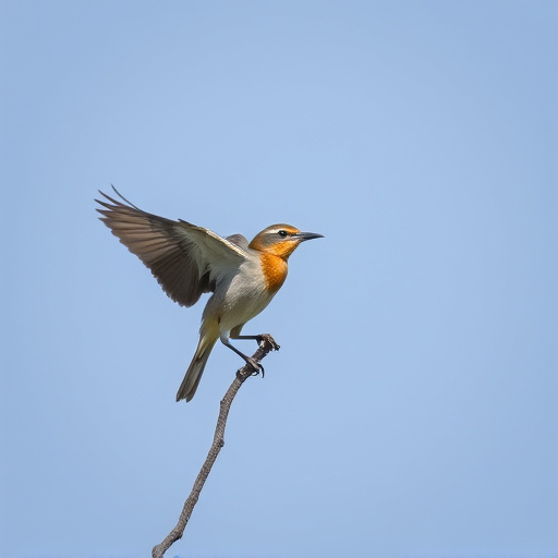 Bulk Peanuts for Birds Manchester: Save Big on Top-Tier Quality Now!