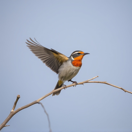 Wild Bird