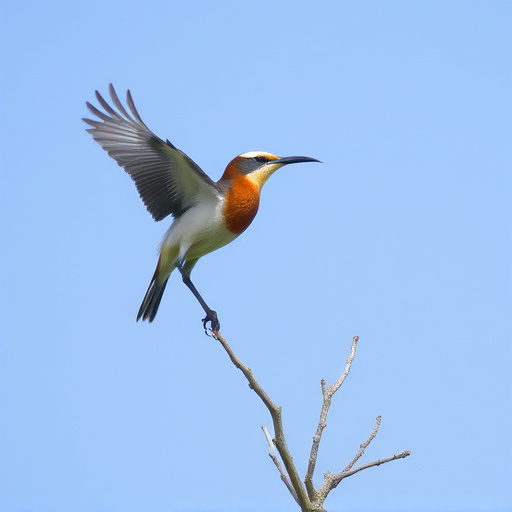 Wild Bird