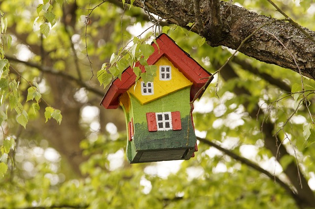 Window bird feeder attached to glass