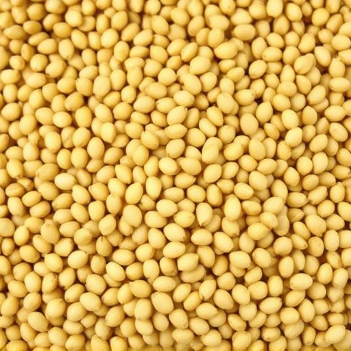 12.5kg sacks of sunflower hearts