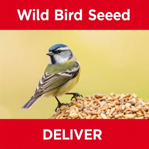 Best Wild Bird Seed Delivered UK