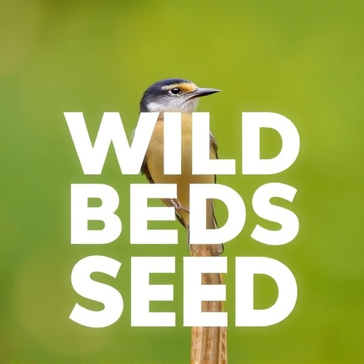 Best Wild Bird Seed Delivered UK